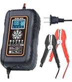 LVYUAN　自動パルス　バッテリー充電器 LVYUAN 全自動 バッテリー充電器 パルス充電 定格10A スマート